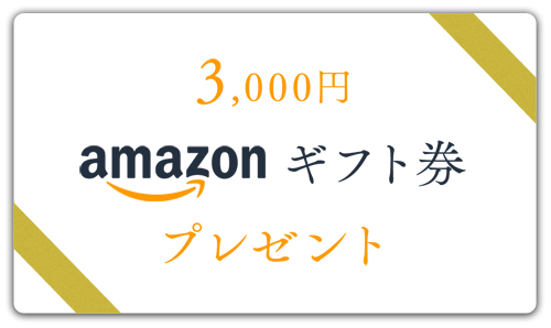 ギフト券プレゼント