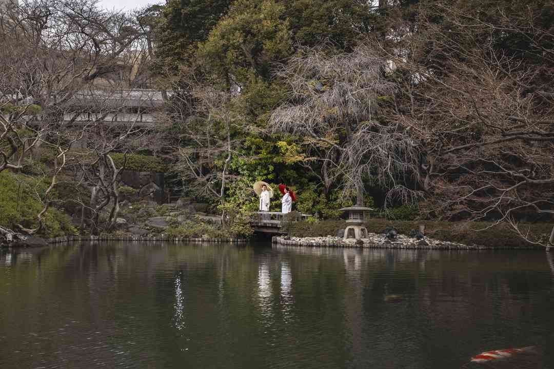 池周辺（遠景）