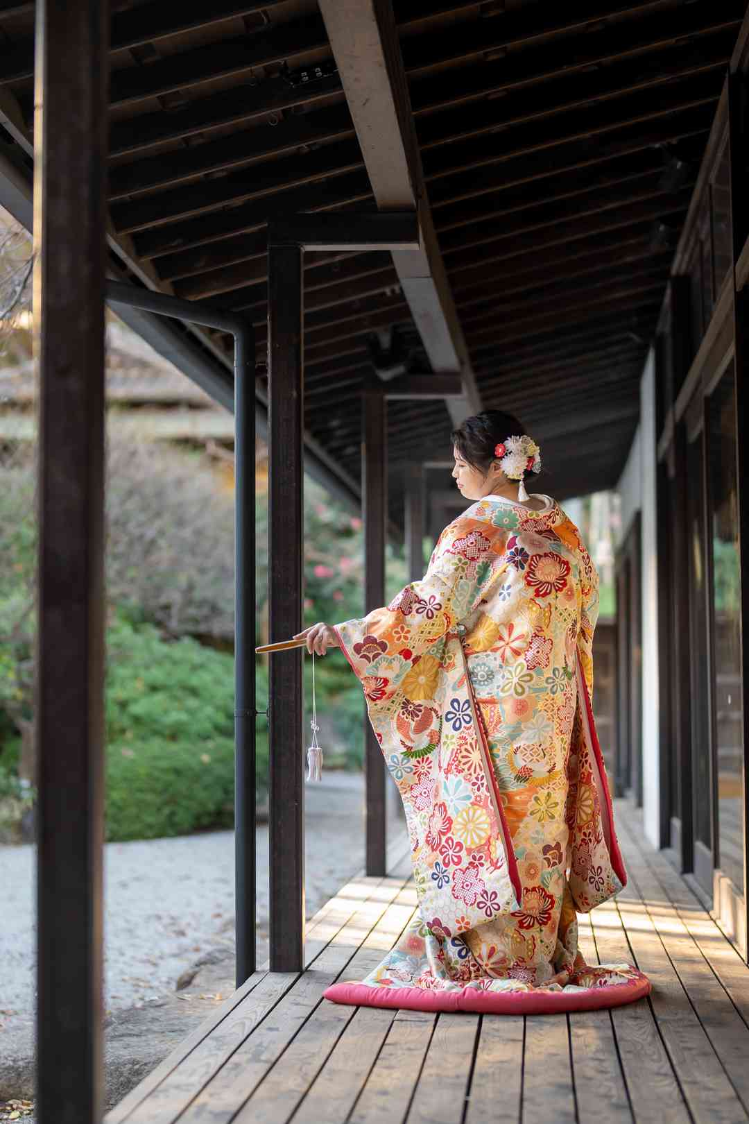 裂取鶴の丸に蝶